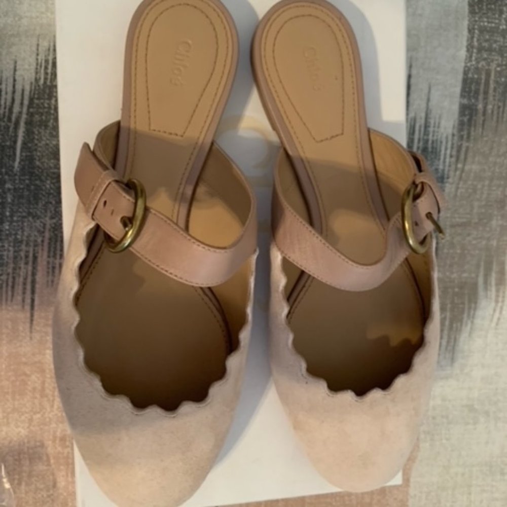 Chloe suede scalloped Mules with buckle detail Size 35.5
